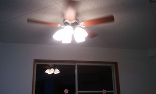2011-03-11 19.36.05.jpg
